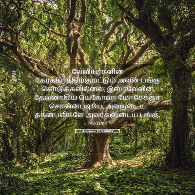Picture 05 - யோசுவா 13:14 TAMIRV - லேவியர்களின் - Bible Verse Picture