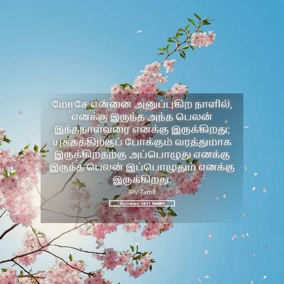 Picture 05 - யோசுவா 14:11 TAMIRV - மோசே என்னை - Bible Verse Picture
