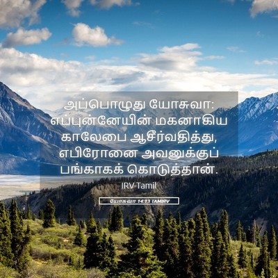 Picture 05 - யோசுவா 14:13 TAMIRV - அப்பொழுது யோசுவா: - Bible Verse Picture