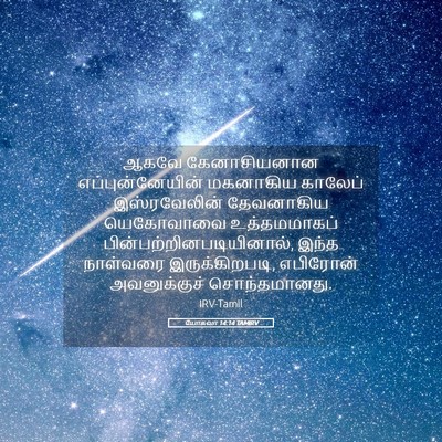 Picture 05 - யோசுவா 14:14 TAMIRV - ஆகவே கேனாசியனான - Bible Verse Picture