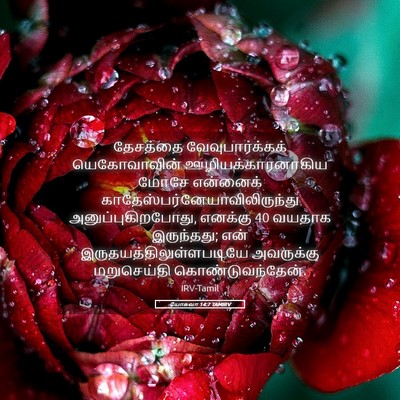 Picture 05 - யோசுவா 14:7 TAMIRV - தேசத்தை - Bible Verse Picture