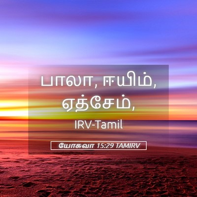 Picture 05 - யோசுவா 15:29 TAMIRV - பாலா, ஈயிம், - Bible Verse Picture
