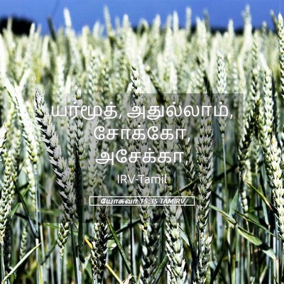 Picture 05 - யோசுவா 15:35 TAMIRV - யர்மூத், - Bible Verse Picture