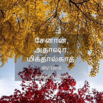Picture 05 - யோசுவா 15:37 TAMIRV - சேனான், அதாஷா, - Bible Verse Picture