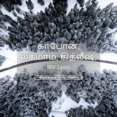 Picture 05 - யோசுவா 15:40 TAMIRV - காபோன், லகமாம், - Bible Verse Picture