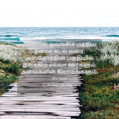 Picture 05 - யோசுவா 15:46 TAMIRV - எக்ரோன் துவங்கிச் - Bible Verse Picture