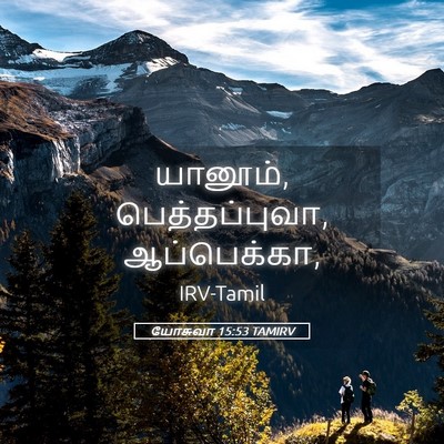 Picture 05 - யோசுவா 15:53 TAMIRV - யானூம், - Bible Verse Picture