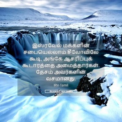 Picture 05 - யோசுவா 18:1 TAMIRV - இஸ்ரவேல் மக்களின் - Bible Verse Picture