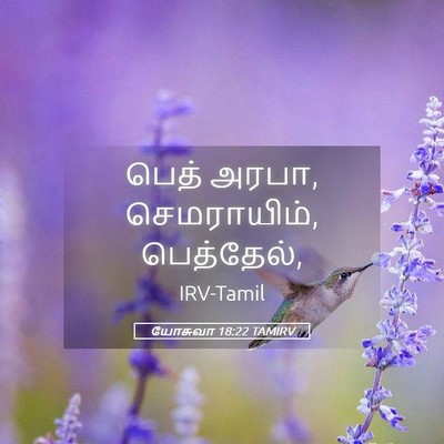 Picture 05 - யோசுவா 18:22 TAMIRV - பெத் அரபா, - Bible Verse Picture