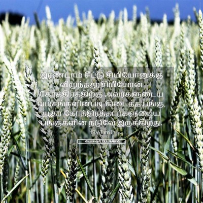 Picture 05 - யோசுவா 19:1 TAMIRV - இரண்டாம் சீட்டு - Bible Verse Picture