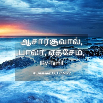 Picture 05 - யோசுவா 19:3 TAMIRV - ஆசார்சூவால், பாலா, - Bible Verse Picture