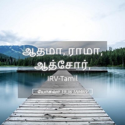Picture 05 - யோசுவா 19:36 TAMIRV - ஆதமா, ராமா, - Bible Verse Picture