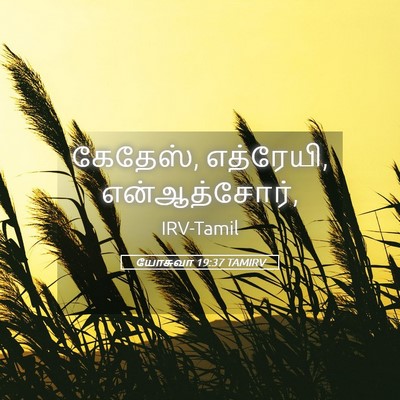 Picture 05 - யோசுவா 19:37 TAMIRV - கேதேஸ், எத்ரேயி, - Bible Verse Picture