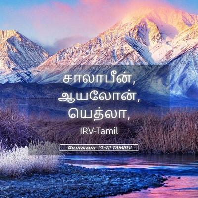 Picture 05 - யோசுவா 19:42 TAMIRV - சாலாபீன், ஆயலோன், - Bible Verse Picture