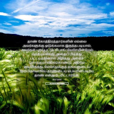 Picture 05 - யோசுவா 19:47 TAMIRV - தாண் - Bible Verse Picture
