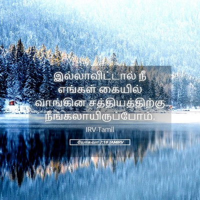 Picture 05 - யோசுவா 2:18 TAMIRV - இல்லாவிட்டால் நீ - Bible Verse Picture