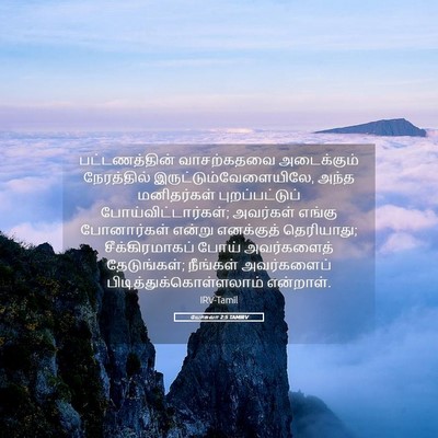 Picture 05 - யோசுவா 2:5 TAMIRV - பட்டணத்தின் - Bible Verse Picture