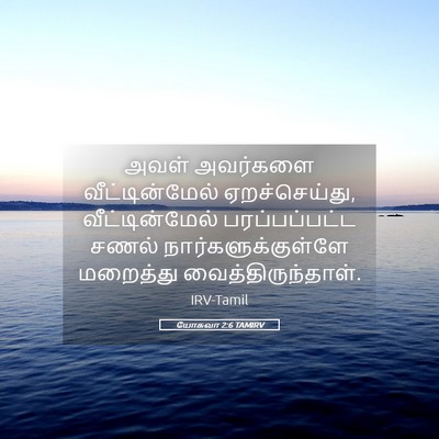 Picture 05 - யோசுவா 2:6 TAMIRV - அவள் அவர்களை - Bible Verse Picture
