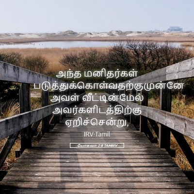 Picture 05 - யோசுவா 2:8 TAMIRV - அந்த மனிதர்கள் - Bible Verse Picture