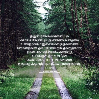 Picture 05 - யோசுவா 20:2 TAMIRV - நீ இஸ்ரவேல் - Bible Verse Picture