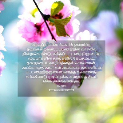 Picture 05 - யோசுவா 20:4 TAMIRV - அந்தப் - Bible Verse Picture