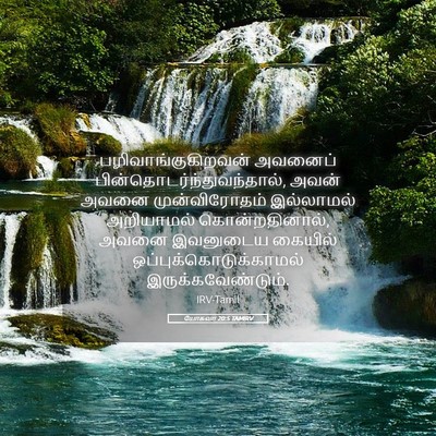 Picture 05 - யோசுவா 20:5 TAMIRV - பழிவாங்குகிறவன் - Bible Verse Picture