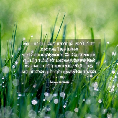 Picture 05 - யோசுவா 20:7 TAMIRV - அப்படியே அவர்கள் - Bible Verse Picture