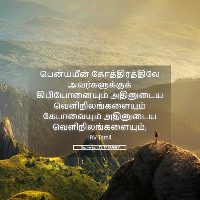 Picture 05 - யோசுவா 21:17 TAMIRV - பென்யமீன் - Bible Verse Picture