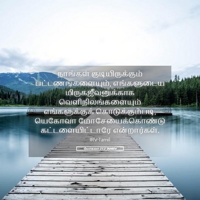 Picture 05 - யோசுவா 21:2 TAMIRV - நாங்கள் - Bible Verse Picture