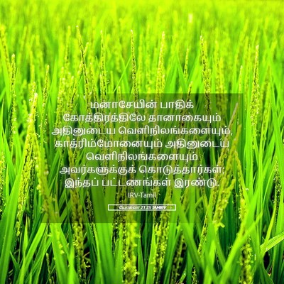 Picture 05 - யோசுவா 21:25 TAMIRV - மனாசேயின் பாதிக் - Bible Verse Picture