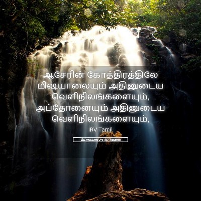 Picture 05 - யோசுவா 21:30 TAMIRV - ஆசேரின் - Bible Verse Picture