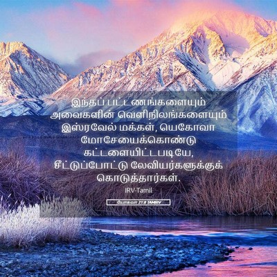 Picture 05 - யோசுவா 21:8 TAMIRV - இந்தப் - Bible Verse Picture