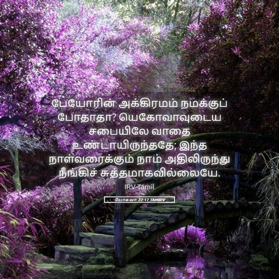 Picture 05 - யோசுவா 22:17 TAMIRV - பேயோரின் - Bible Verse Picture