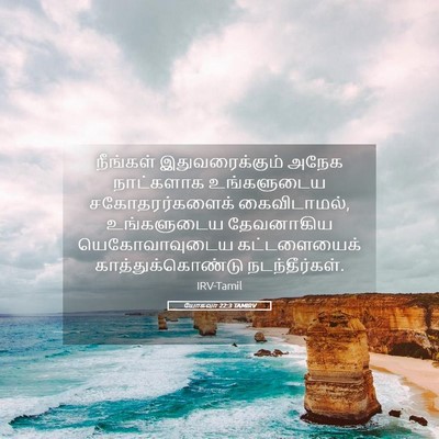 Picture 05 - யோசுவா 22:3 TAMIRV - நீங்கள் - Bible Verse Picture