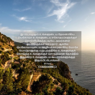 Picture 05 - யோசுவா 22:4 TAMIRV - இப்பொழுதும் - Bible Verse Picture