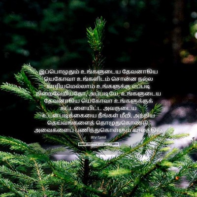 Picture 05 - யோசுவா 23:15 TAMIRV - இப்பொழுதும் - Bible Verse Picture