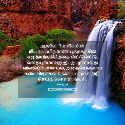 Picture 05 - யோசுவா 23:6 TAMIRV - ஆகவே, மோசேயின் - Bible Verse Picture