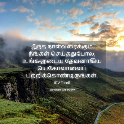 Picture 05 - யோசுவா 23:8 TAMIRV - இந்த - Bible Verse Picture
