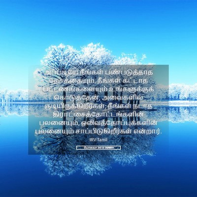 Picture 05 - யோசுவா 24:13 TAMIRV - அப்படியே நீங்கள் - Bible Verse Picture