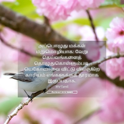 Picture 05 - யோசுவா 24:16 TAMIRV - அப்பொழுது மக்கள் - Bible Verse Picture