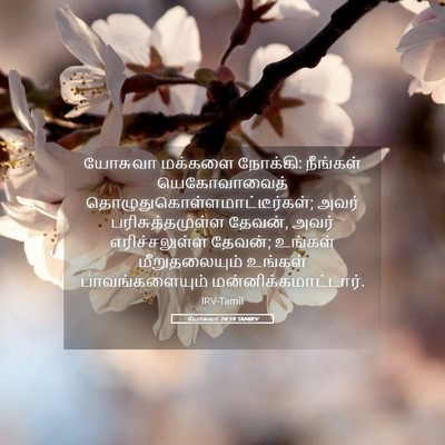 Picture 05 - யோசுவா 24:19 TAMIRV - யோசுவா மக்களை - Bible Verse Picture