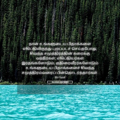 Picture 05 - யோசுவா 24:6 TAMIRV - நான் உங்களுடைய - Bible Verse Picture