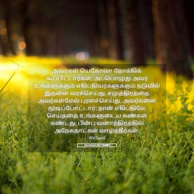 Picture 05 - யோசுவா 24:7 TAMIRV - அவர்கள் யெகோவா - Bible Verse Picture