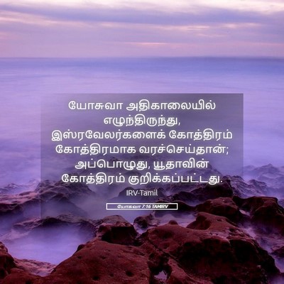 Picture 05 - யோசுவா 7:16 TAMIRV - யோசுவா - Bible Verse Picture