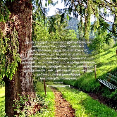 Picture 05 - யோசுவா 7:24 TAMIRV - அப்பொழுது - Bible Verse Picture