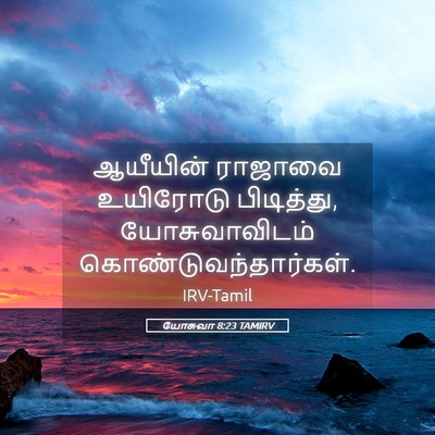 Picture 05 - யோசுவா 8:23 TAMIRV - ஆயீயின் ராஜாவை - Bible Verse Picture