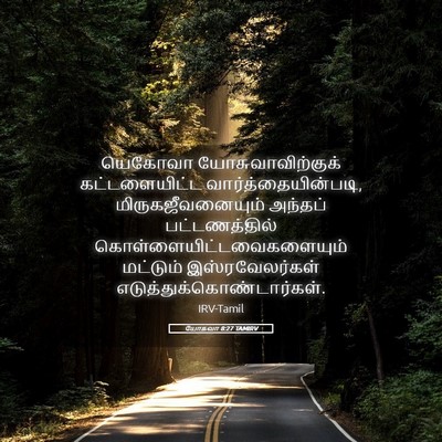 Picture 05 - யோசுவா 8:27 TAMIRV - யெகோவா - Bible Verse Picture