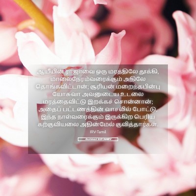 Picture 05 - யோசுவா 8:29 TAMIRV - ஆயீயின் ராஜாவை - Bible Verse Picture
