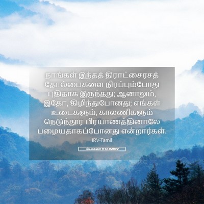 Picture 05 - யோசுவா 9:13 TAMIRV - நாங்கள் இந்தத் - Bible Verse Picture