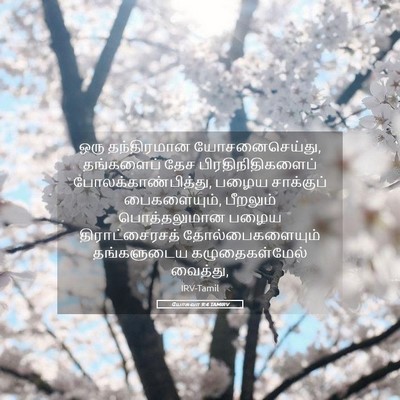 Picture 05 - யோசுவா 9:4 TAMIRV - ஒரு தந்திரமான - Bible Verse Picture